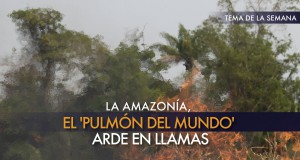 Incendios Amazonía